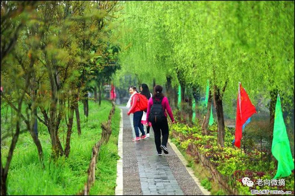 【春天，广西桂林灌阳县向您发出邀请！】江口老街又逢春 - 游山玩水 - 运城生活社区 - 运城28生活网 yuncheng.28life.net
