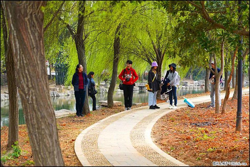 【春天，广西桂林灌阳县向您发出邀请！】江口老街又逢春 - 游山玩水 - 运城生活社区 - 运城28生活网 yuncheng.28life.net