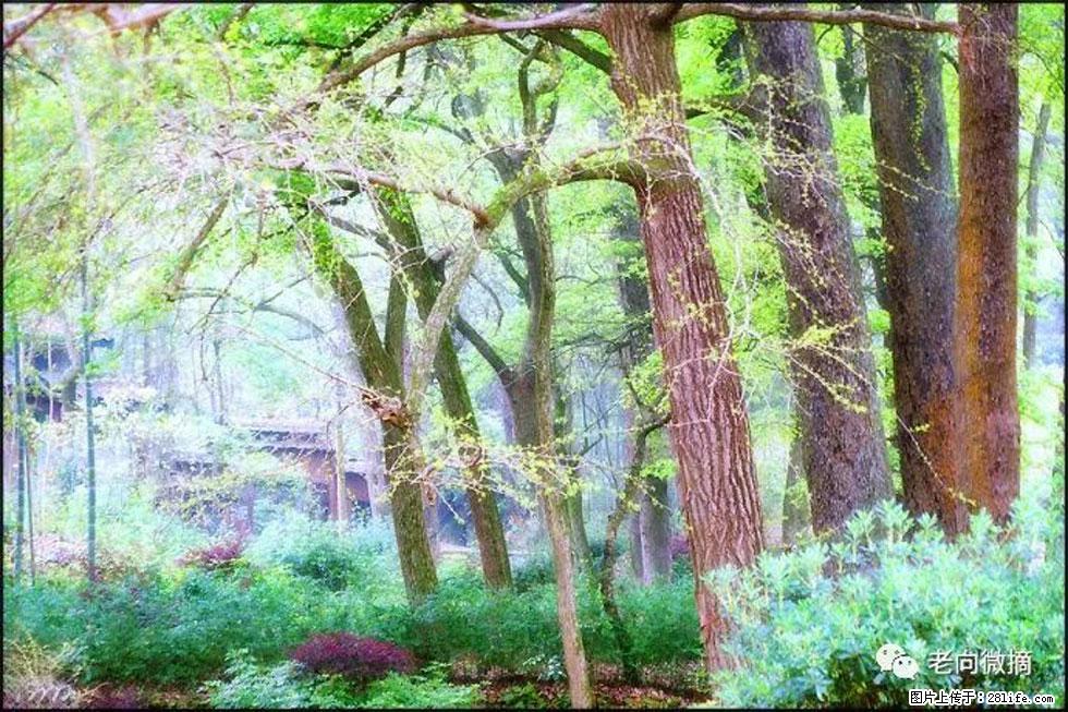 【春天，广西桂林灌阳县向您发出邀请！】在小龙村与春天约会 - 游山玩水 - 运城生活社区 - 运城28生活网 yuncheng.28life.net