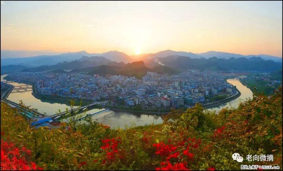 【春天，广西桂林灌阳县向您发出邀请！】登麒麟山，相约映山红 - 游山玩水 - 运城生活社区 - 运城28生活网 yuncheng.28life.net