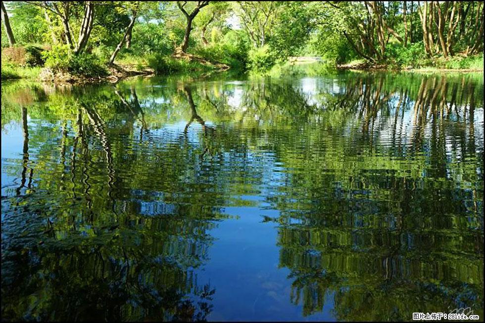 【春天，广西桂林灌阳县向您发出邀请！】熊家寨湿地公园 - 游山玩水 - 运城生活社区 - 运城28生活网 yuncheng.28life.net