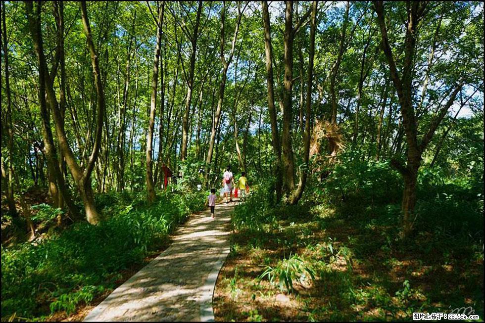 【春天，广西桂林灌阳县向您发出邀请！】熊家寨湿地公园 - 游山玩水 - 运城生活社区 - 运城28生活网 yuncheng.28life.net