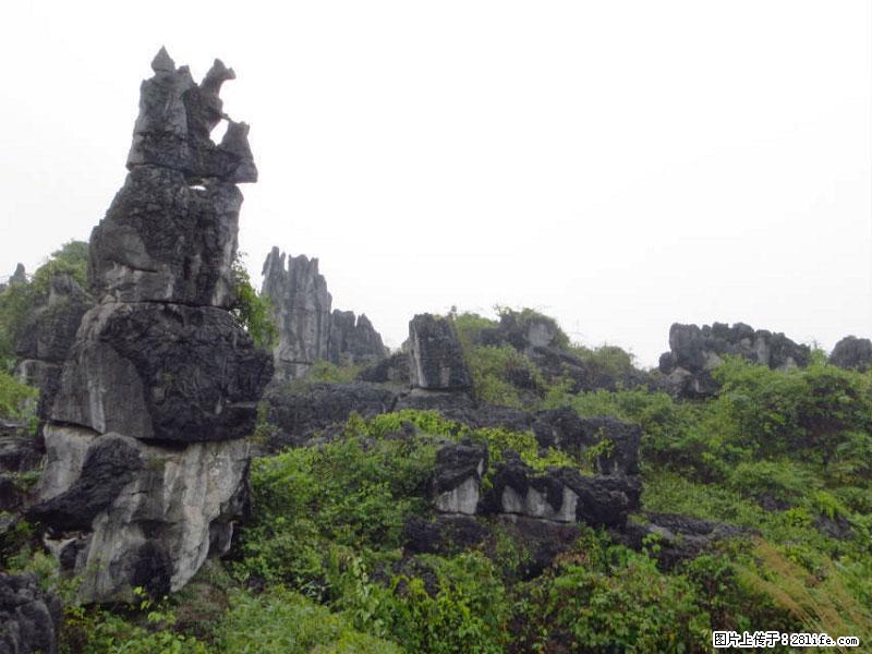 桂林旅游名城景点：灌阳文市石林 - 游山玩水 - 运城生活社区 - 运城28生活网 yuncheng.28life.net