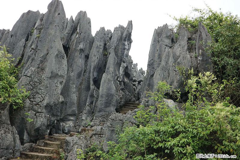 桂林旅游名城景点：灌阳文市石林 - 游山玩水 - 运城生活社区 - 运城28生活网 yuncheng.28life.net
