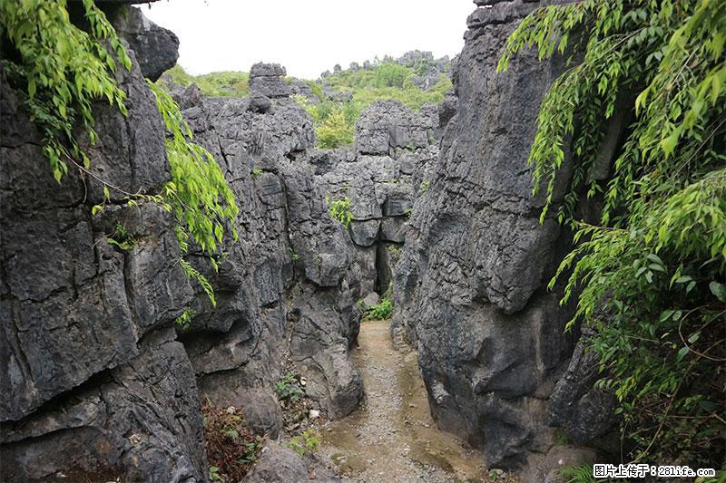 桂林旅游名城景点：灌阳文市石林 - 游山玩水 - 运城生活社区 - 运城28生活网 yuncheng.28life.net