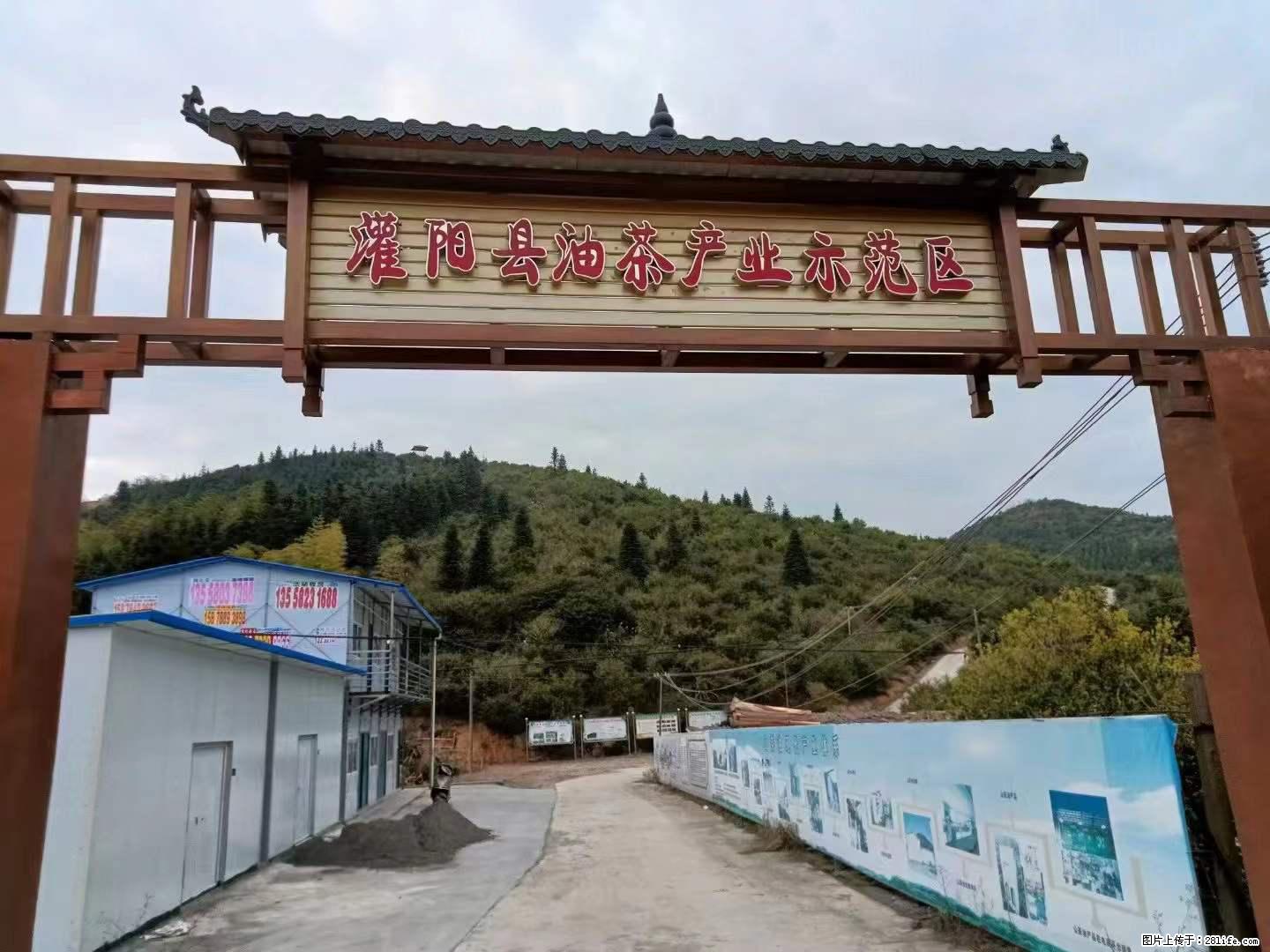 【灌阳县油茶产业示范区】一个有着充实的精神生活的人，对待身外之物自会有一种淡泊的态度 - 美食天地 - 运城生活社区 - 运城28生活网 yuncheng.28life.net