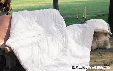 被子有异味？只要这样做，比晒太阳还强100倍！ - 家居生活 - 运城生活社区 - 运城28生活网 yuncheng.28life.net