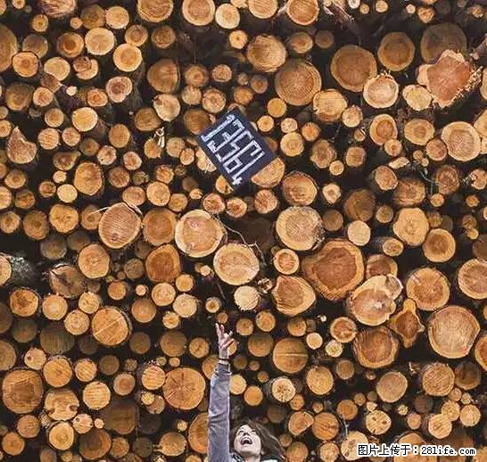 辞掉工作周游世界？现在他们在洗厕所…… - 游山玩水 - 运城生活社区 - 运城28生活网 yuncheng.28life.net