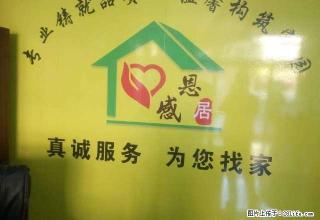 恒大绿洲 精装33楼 一室一厅 41平米 适合情侣租 - 运城28生活网 yuncheng.28life.net