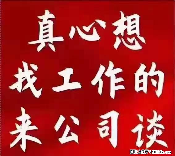 【上海】国企，医院招两名男保安，55岁以下，身高1.7米以上，无犯罪记录不良嗜好 - 职场交流 - 运城生活社区 - 运城28生活网 yuncheng.28life.net