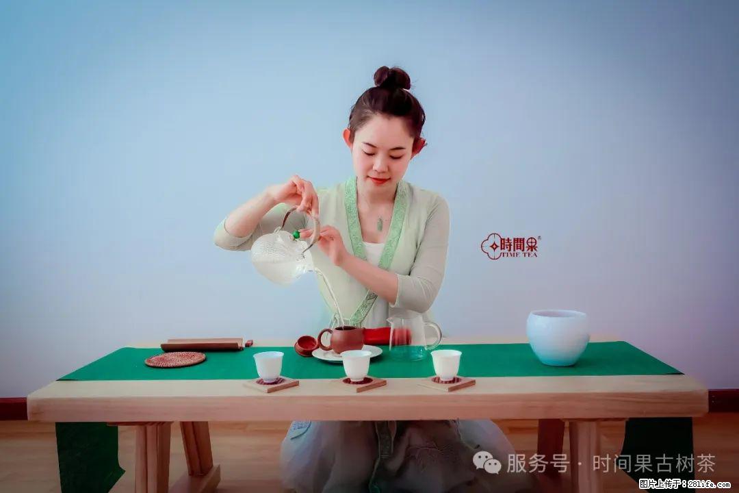 时间果百年古树龙珠普洱生茶 - 购物交流 - 运城生活社区 - 运城28生活网 yuncheng.28life.net