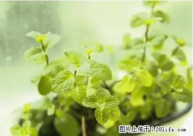 晕车、脚气、牙齿变黄、皮肤粗糙？学会这些三分钟搞定！ - 运城生活资讯 - 运城28生活网 yuncheng.28life.net