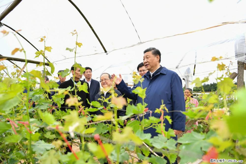 习近平赴广西考察调研 - 运城生活资讯 - 运城28生活网 yuncheng.28life.net