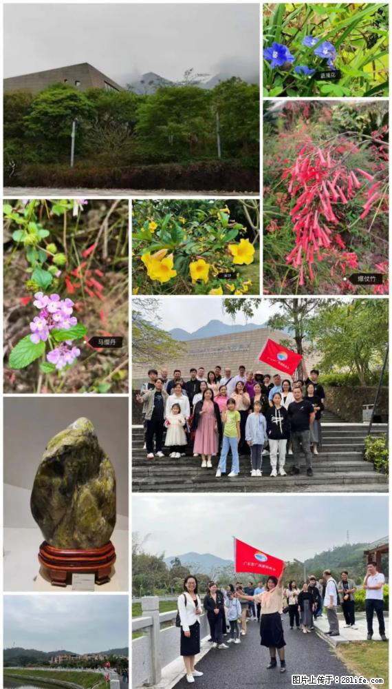 “粤灌文化 美好生活”油茶文化主题活动在广东深圳成功举办 - 运城生活资讯 - 运城28生活网 yuncheng.28life.net