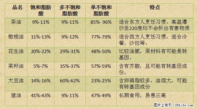 揭秘茶油的5大核心营养成分！被称为人体健康的“守护盾”！ - 运城生活资讯 - 运城28生活网 yuncheng.28life.net