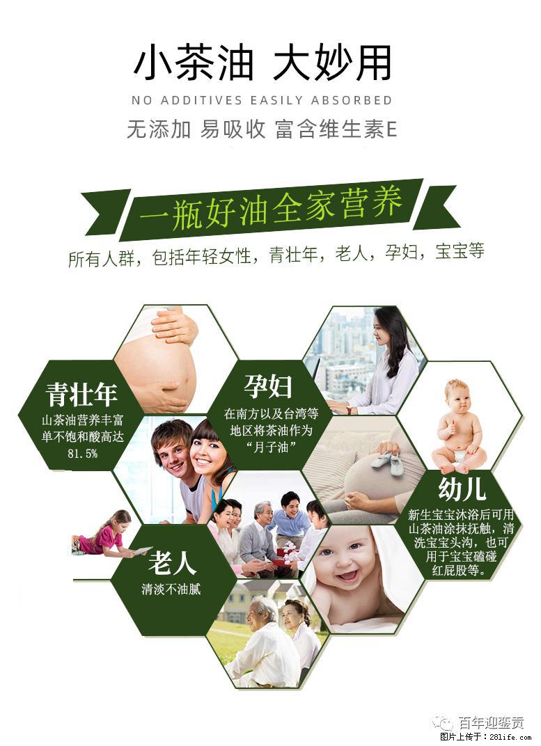 世界没有真相，只有认知，最好的食用油是中国的山茶油！ - 运城生活资讯 - 运城28生活网 yuncheng.28life.net