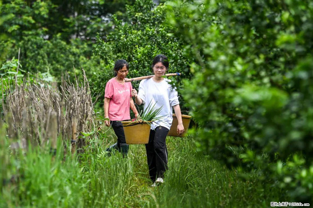 全网追的“扁担女孩”，找了一份暑假工，时薪12元 - 运城生活资讯 - 运城28生活网 yuncheng.28life.net