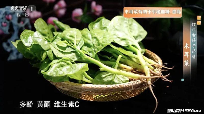 比牛奶补钙还厉害！凉血解毒、稳血糖...这菜冬天必吃，很多人却当草 - 运城生活资讯 - 运城28生活网 yuncheng.28life.net