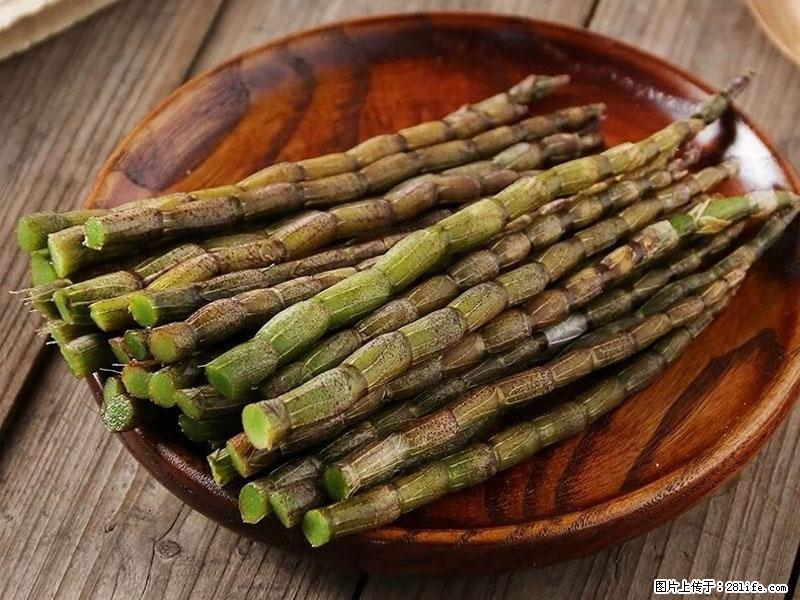 铁皮石斛的作用与功能主治 - 运城生活资讯 - 运城28生活网 yuncheng.28life.net
