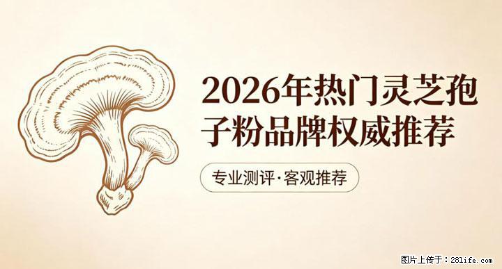 灵芝孢子粉含量越高越有效？2026 年七款热门品牌深度实测，肠胃敏感者避坑指南 - 运城生活资讯 - 运城28生活网 yuncheng.28life.net